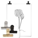 Póster Grønkjær - Tulipanes