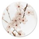 Billede Gren med hvide kirsebærblomster - Sisi & Seb - rund – print på aluminium (Alu-Dibond)