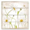 Cuadro de madera Disher - Ojo de buey Margaritas - 40x41,5 cm
