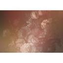 Livingwalls Fototapet Walls by Patel 2 dutch pastel 3