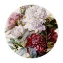 Plakat Redouté - Flowers