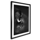Póster Tjandra - Reflejo de pájaro - blanco y negro