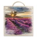 Cuadro de madera flor de lavanda en Provenza - 40x41,5 cm