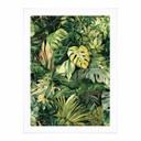 Plakat med jungleplanter - Jaszke