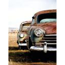 Fotomural Viejos coches oxidados