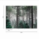 Trees In Fog skovtapet i grågrøn - non-woven tapet Designwalls 2 - 2,55 x 3,5 m