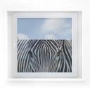 Vinduesudsmykning: Zebra ansigt