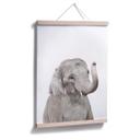 Plakat - Sisi & Seb - Baby Elephant