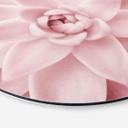 Tableau sur alu-Dibond rond Sisi & Seb - Succulente rose