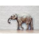 Fototapet - The Walking Elephant