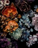 Fototapet med motiv af mørkt blomsterstilleben med orkideer 3,4 x 2,65 m