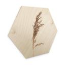 Hexagon Hout Siergras No. 3