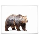 Póster Beáta - El oso