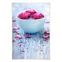 Poster - Wellness Ambiente