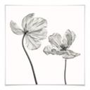 Póster Grønkjær - Flor de tulipán