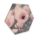 Hexagone - Alu-Dibond Delgado - Coquelicot rose
