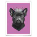 Plakat - Korenkova - King French Bulldog Pink