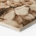 Hexagone - Bois Annie - Fleurs en velours