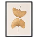 Póster Lenka - Ginkgo
