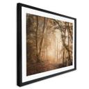 Póster Bosque en la niebla matinal - Maier