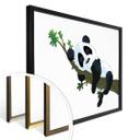 Plakat - Sovende Panda