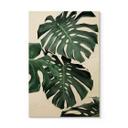 Billede af træ Sisi & Seb - Monstera