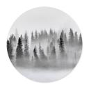 Plakat Xu - Foggy Forest
