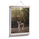 Póster Fawn