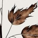 Fototapet Dried Flowers in Cream - Treechild