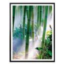 Plakat - Bamboo Forest - Detail