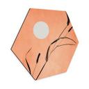 Hexagon Dibond Riet in perzikkleurige zon - Kubistika