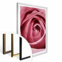 Plakat - Den rosa rose