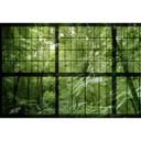 Livingwalls Fototapet Walls by Patel 2 rainforest 2