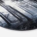Tableau en alu-Dibond Rayons de soleil dans la forêt bleue - Rond