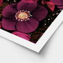 Plakat Blomsterpragt i lilla toner - Anis-illustration