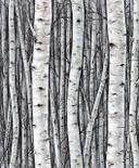 Papel pintado no tejido con bosques y hayas gris, azul floral