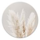 Tableau sur alu-Dibond 1X Studio - Herbes de la Pampa - Rond
