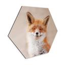 Hexagone - Alu-Dibond van Duijn - Renard content