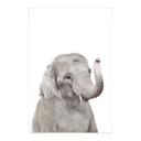 Póster de tela Sisi & Seb - Bebé elefante