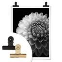 Póster Grønkjær - Dalia
