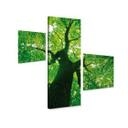 Tableau sur toile Under the Trees (3 parties)