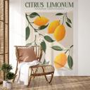 Frutas - Boho limonero - Citrus Limonum - fotomural de Tunaboylu