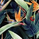 Nature Rainforest tapet i sort grøn - non-woven tapet Designwalls 2 - 2,55 x 3,5 m