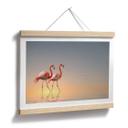 Póster Cseresnjes - Flamencos a la luz del atardecer