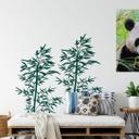 Bambus Plante