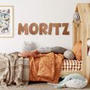 Lettres murales en bois Placage acajou - Alphabet Kids