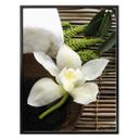 Póster Bienestar Orquídea