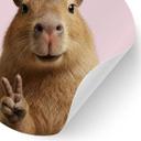 Wallsticker med dyr Peace Capybara - Rund