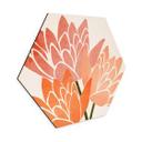 Hexagon Dibond Farverige lotusblomster - Kubistika