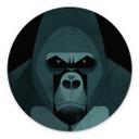 Vægcirkel Gorilla - Braun – print på aluminium (Alu-Dibond)